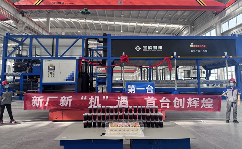 ice factory plant cost 5 Tons Block Ice Making Machine